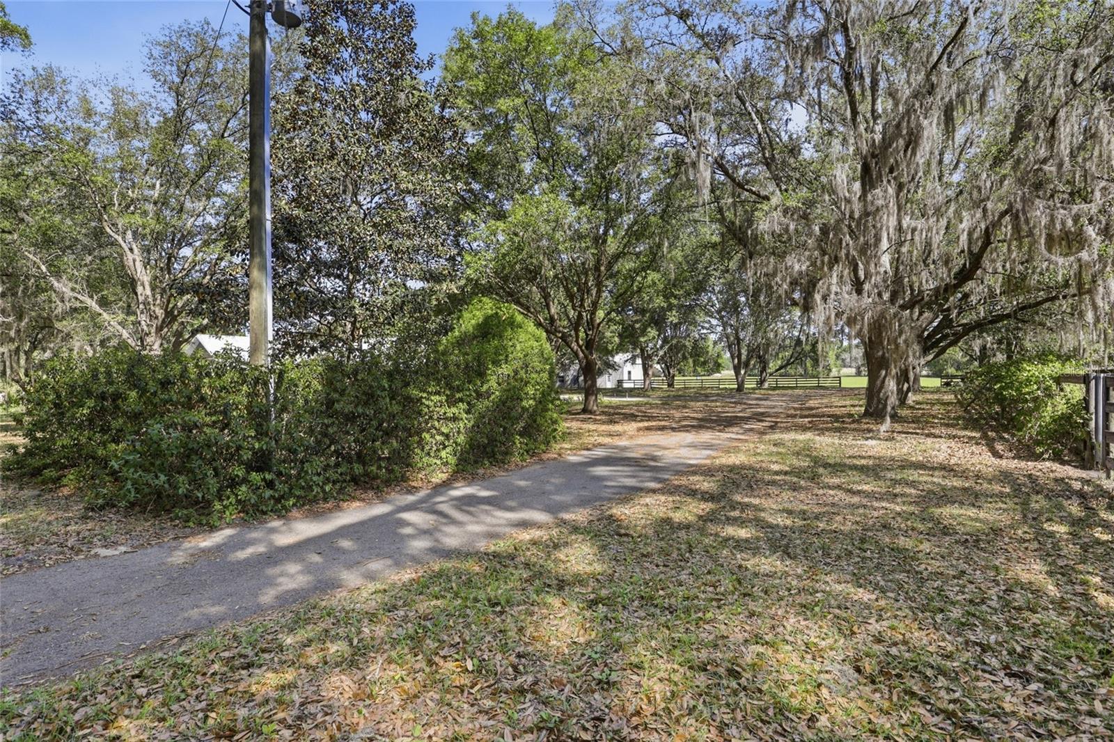 24026 NW 126TH LN, ALACHUA, FL, 32615