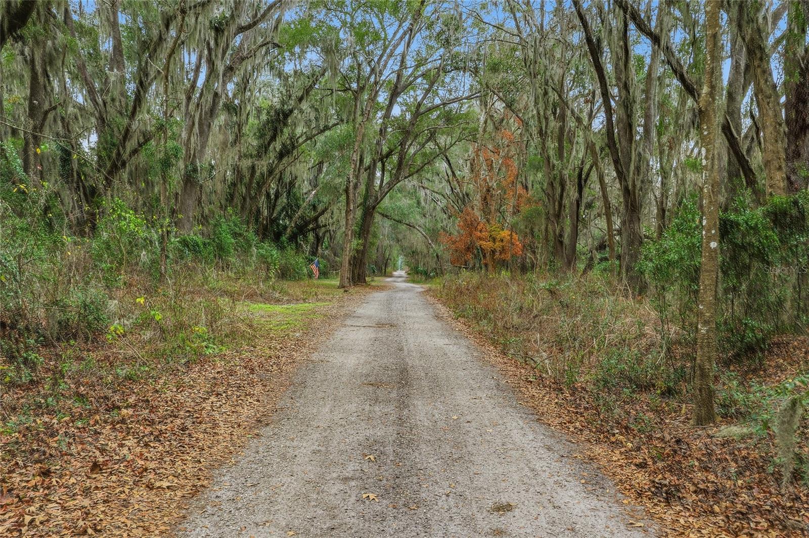 24026 NW 126TH LN, ALACHUA, FL, 32615