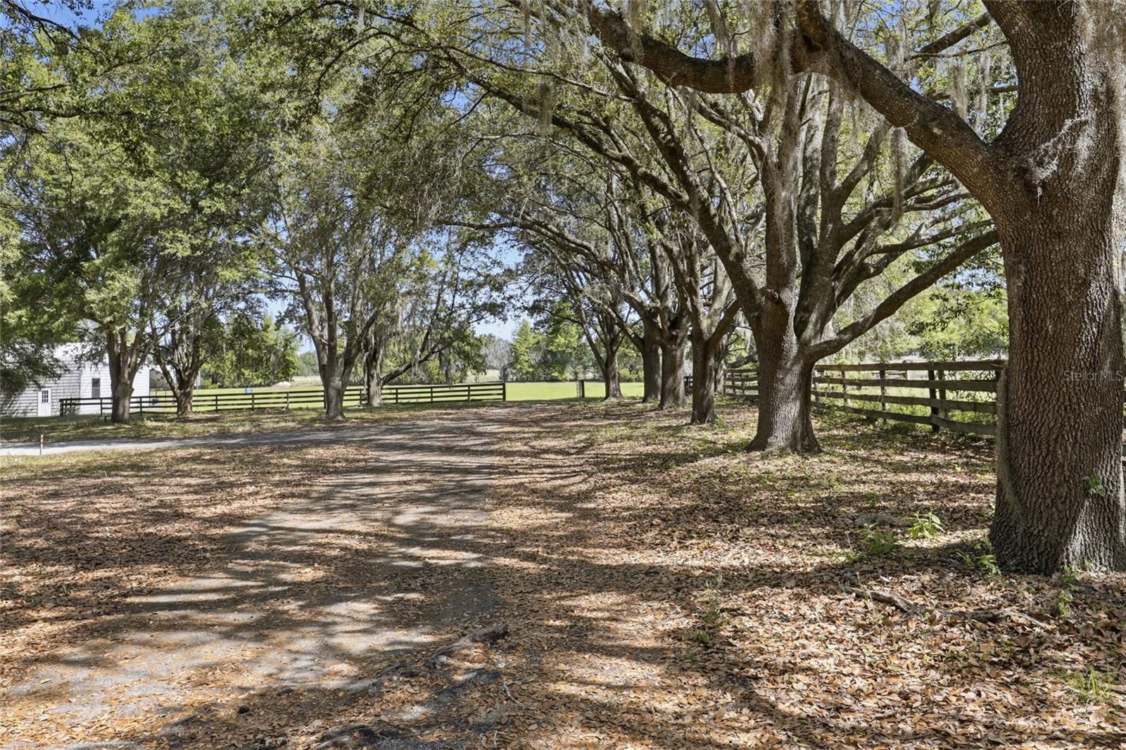 24026 NW 126TH LN, ALACHUA, FL, 32615