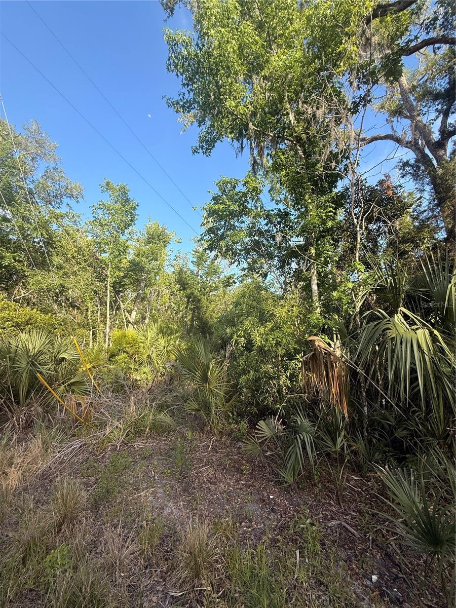 10274 W OZELLO TRL, CRYSTAL RIVER, FL, 34429