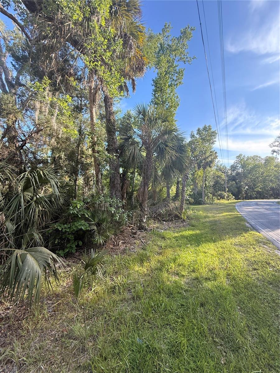 10274 W OZELLO TRL, CRYSTAL RIVER, FL, 34429