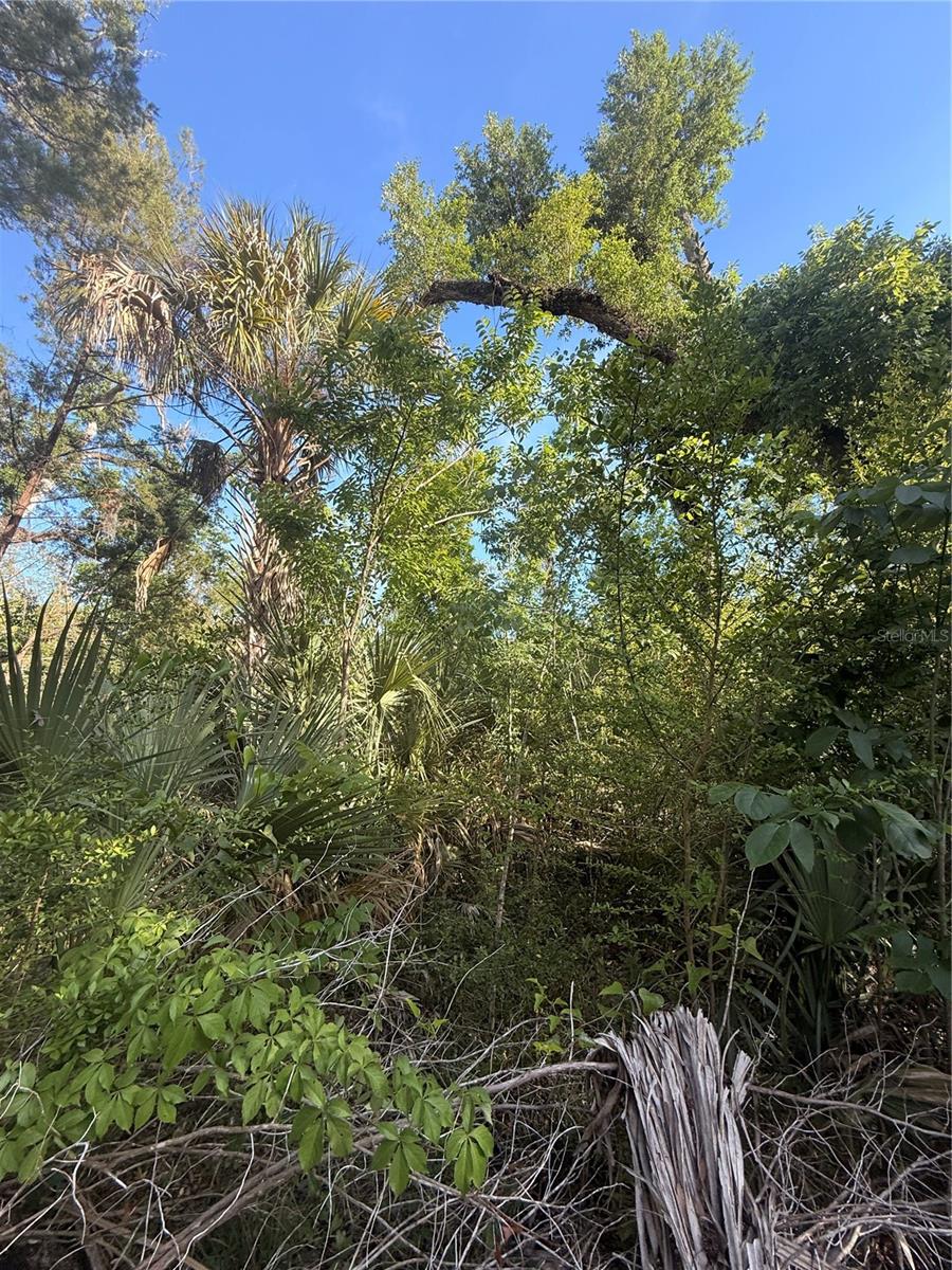 10274 W OZELLO TRL, CRYSTAL RIVER, FL, 34429