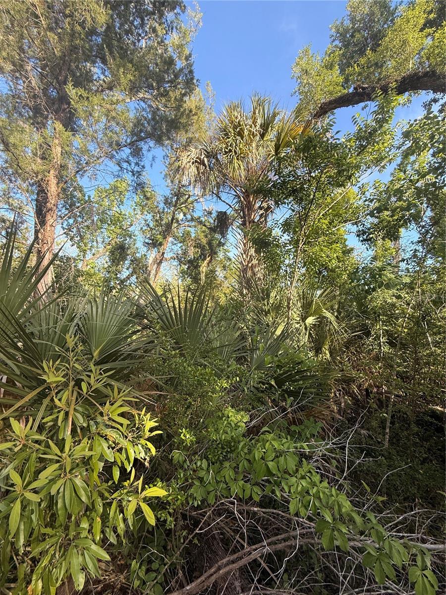 10274 W OZELLO TRL, CRYSTAL RIVER, FL, 34429