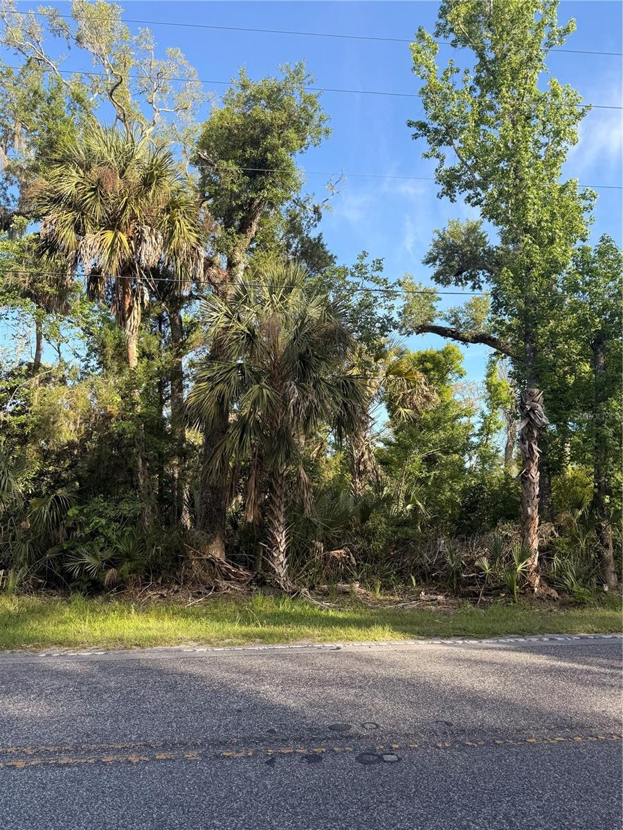 10274 W OZELLO TRL, CRYSTAL RIVER, FL, 34429