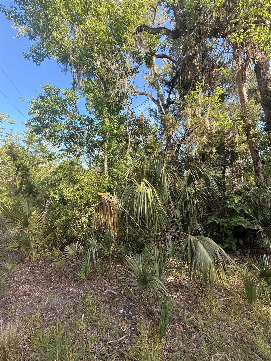 10274 W OZELLO TRL, CRYSTAL RIVER, FL, 34429