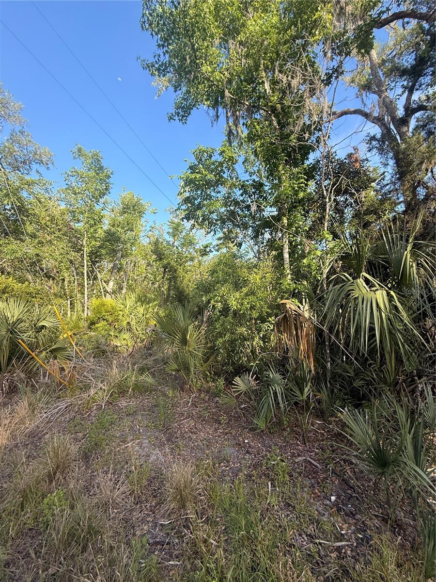 10274 W OZELLO TRL, CRYSTAL RIVER, FL, 34429