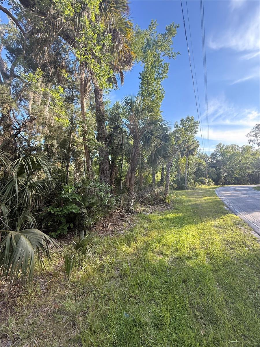 10274 W OZELLO TRL, CRYSTAL RIVER, FL, 34429