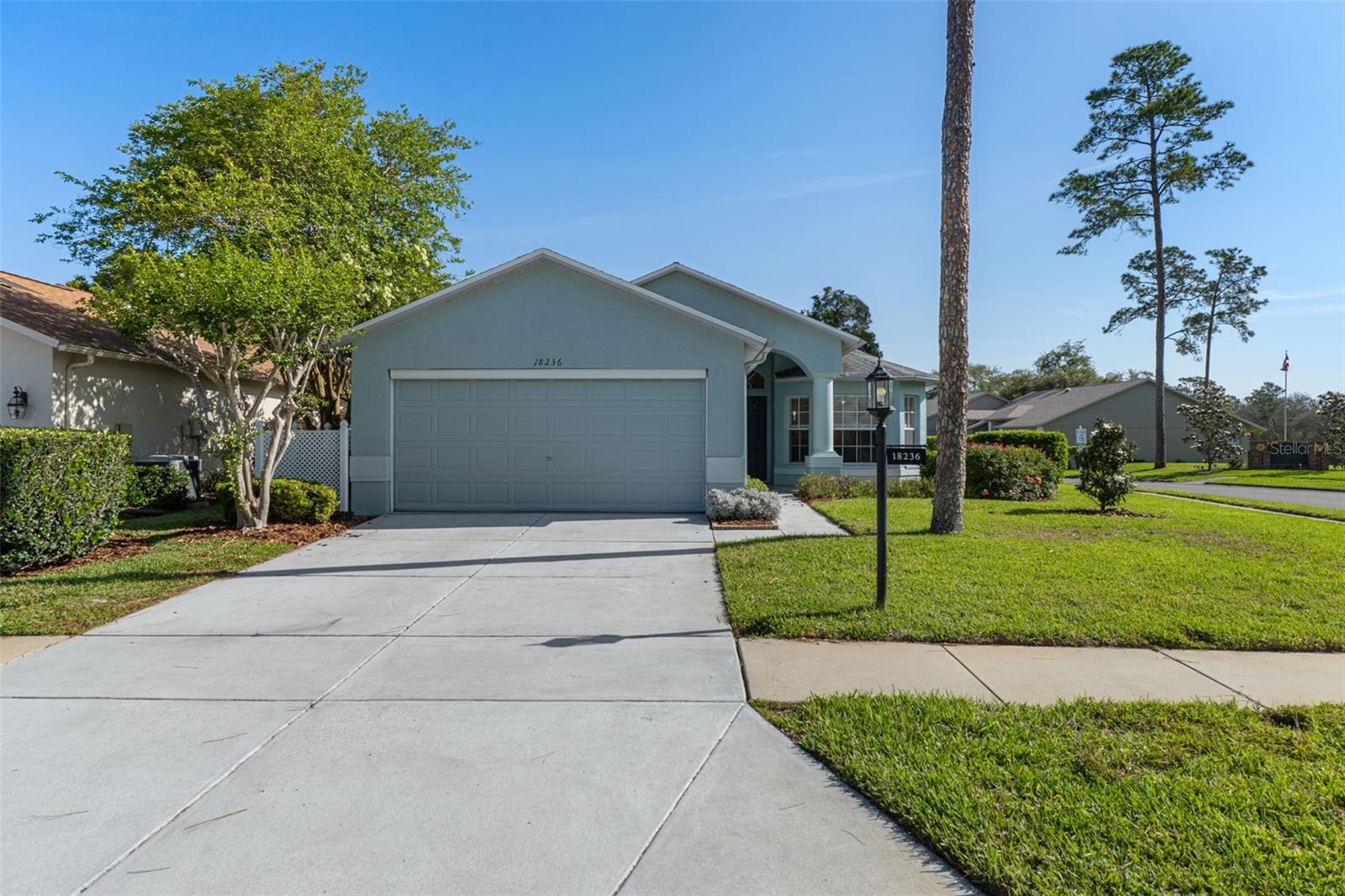 18236 WEBSTER GROVE DR, HUDSON, FL, 34667