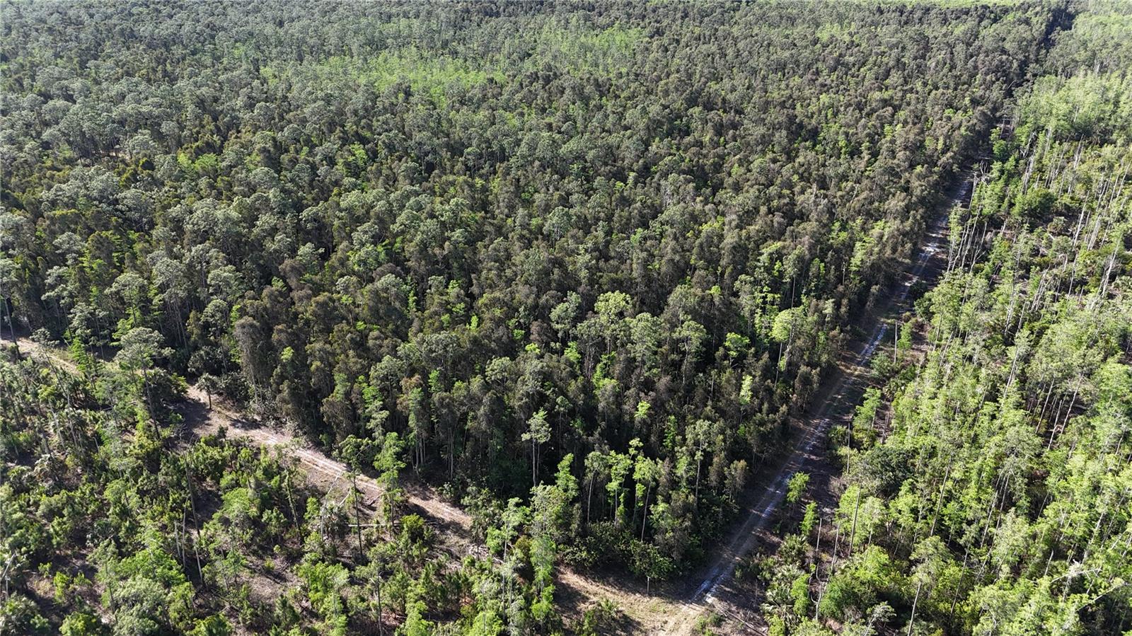 ACREAGE HEADER, NAPLES, FL, 34119