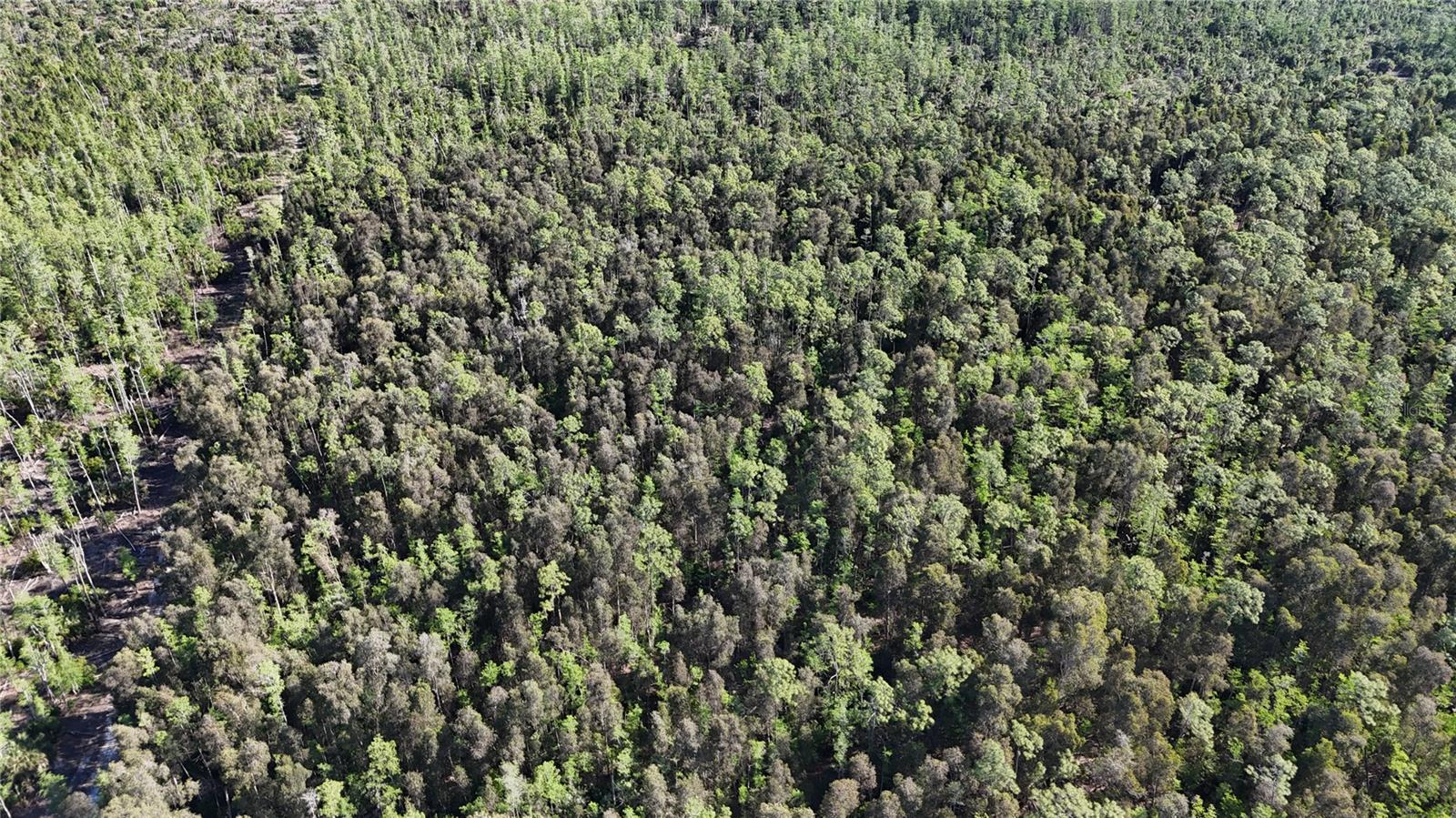 ACREAGE HEADER, NAPLES, FL, 34119