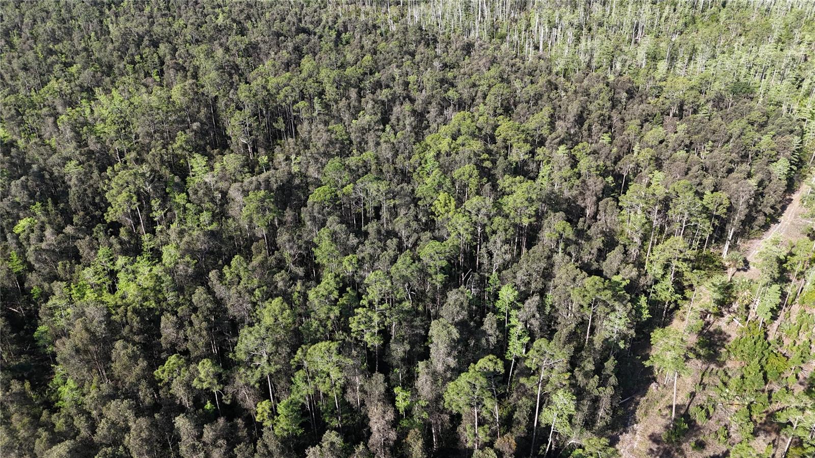 ACREAGE HEADER, NAPLES, FL, 34119