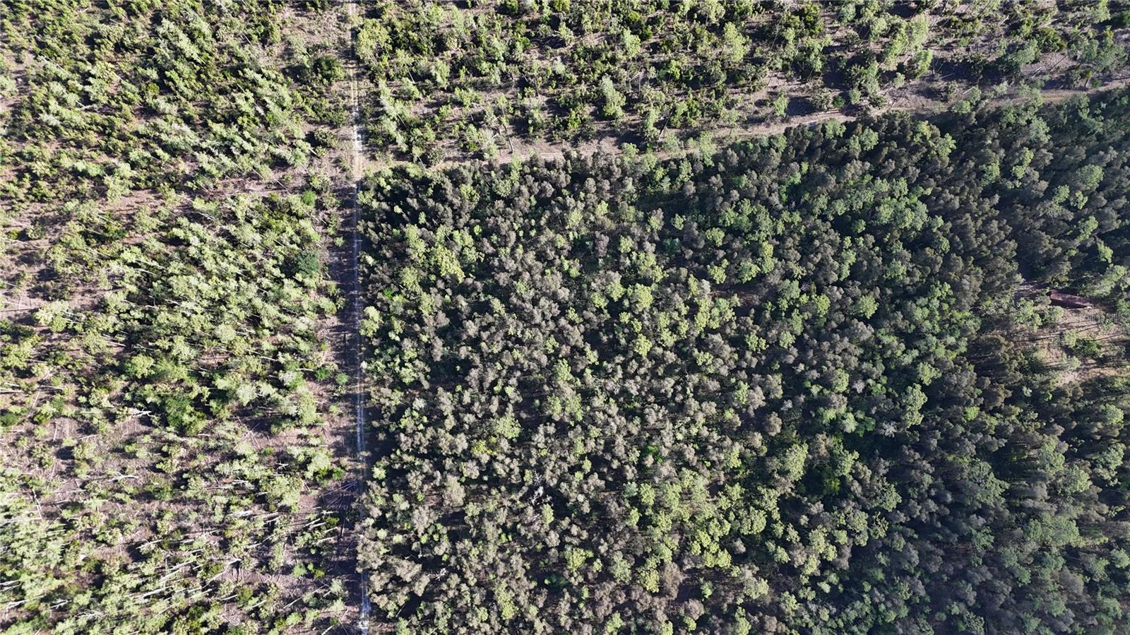 ACREAGE HEADER, NAPLES, FL, 34119