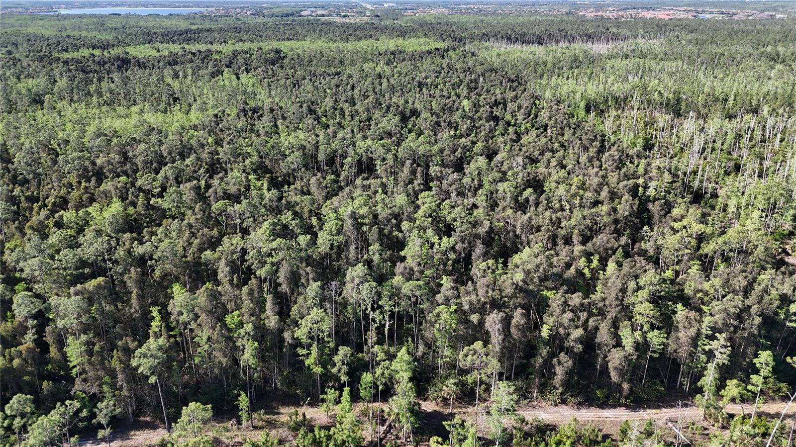 ACREAGE HEADER, NAPLES, FL, 34119