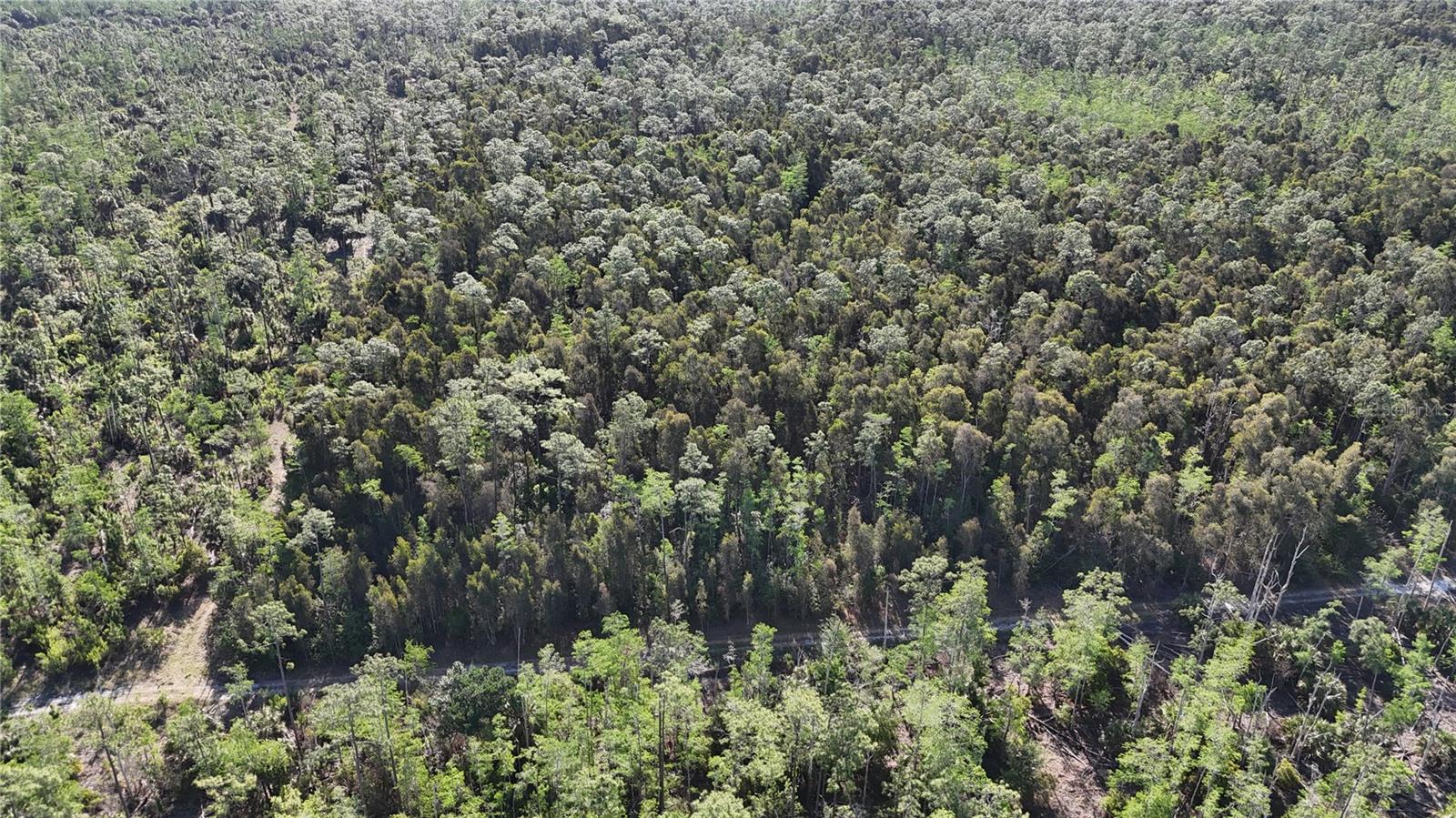 ACREAGE HEADER, NAPLES, FL, 34119