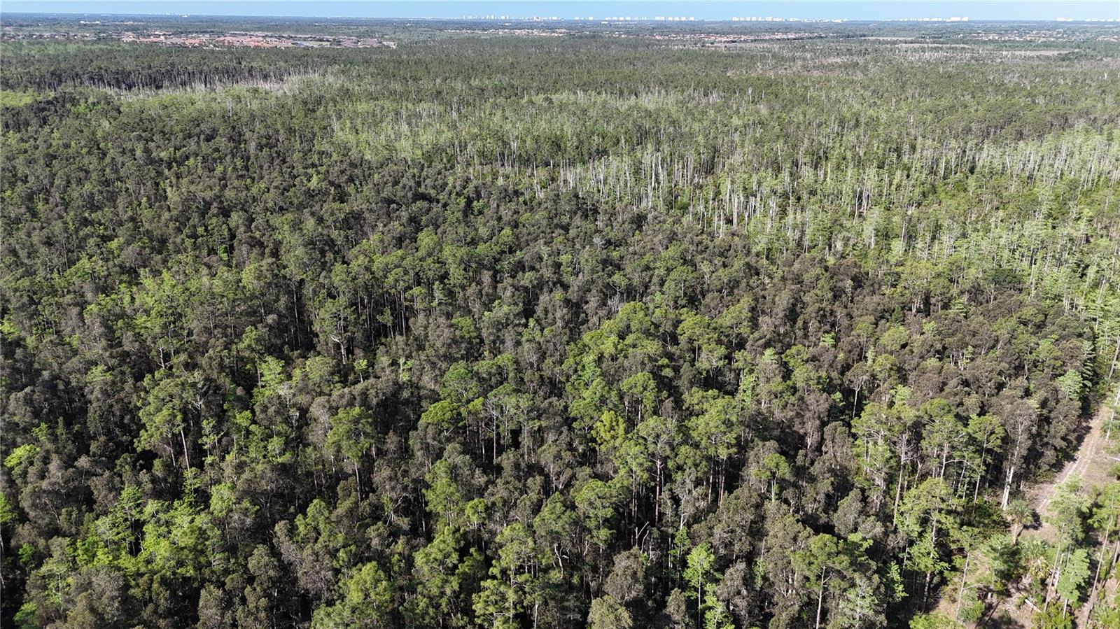 ACREAGE HEADER, NAPLES, FL, 34119