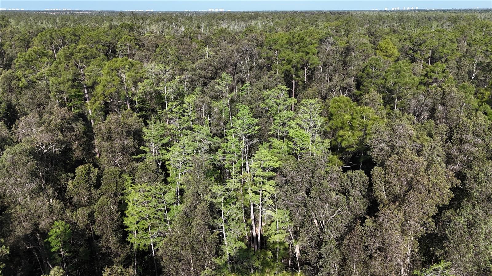 ACREAGE HEADER, NAPLES, FL, 34119