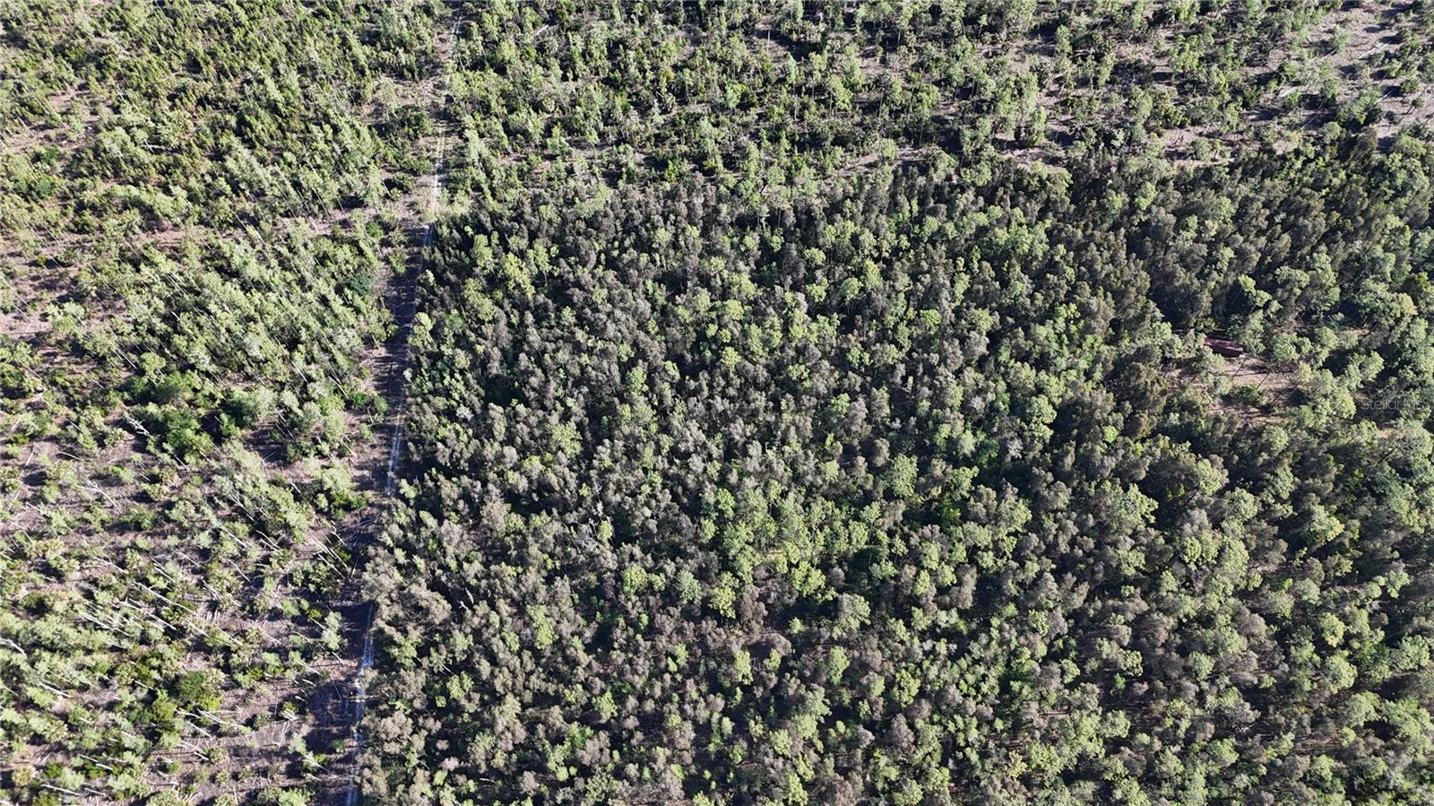 ACREAGE HEADER, NAPLES, FL, 34119