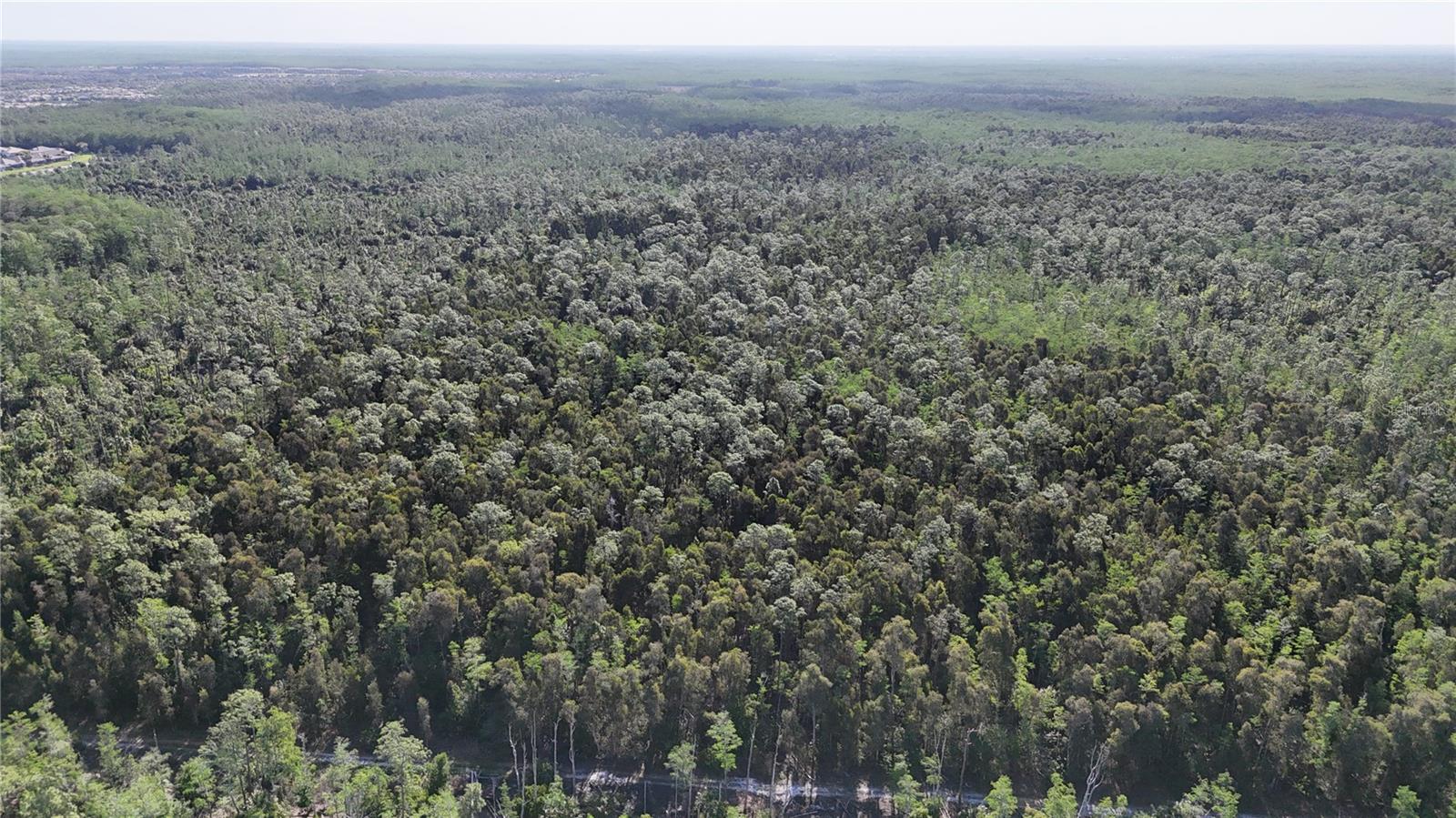 ACREAGE HEADER, NAPLES, FL, 34119