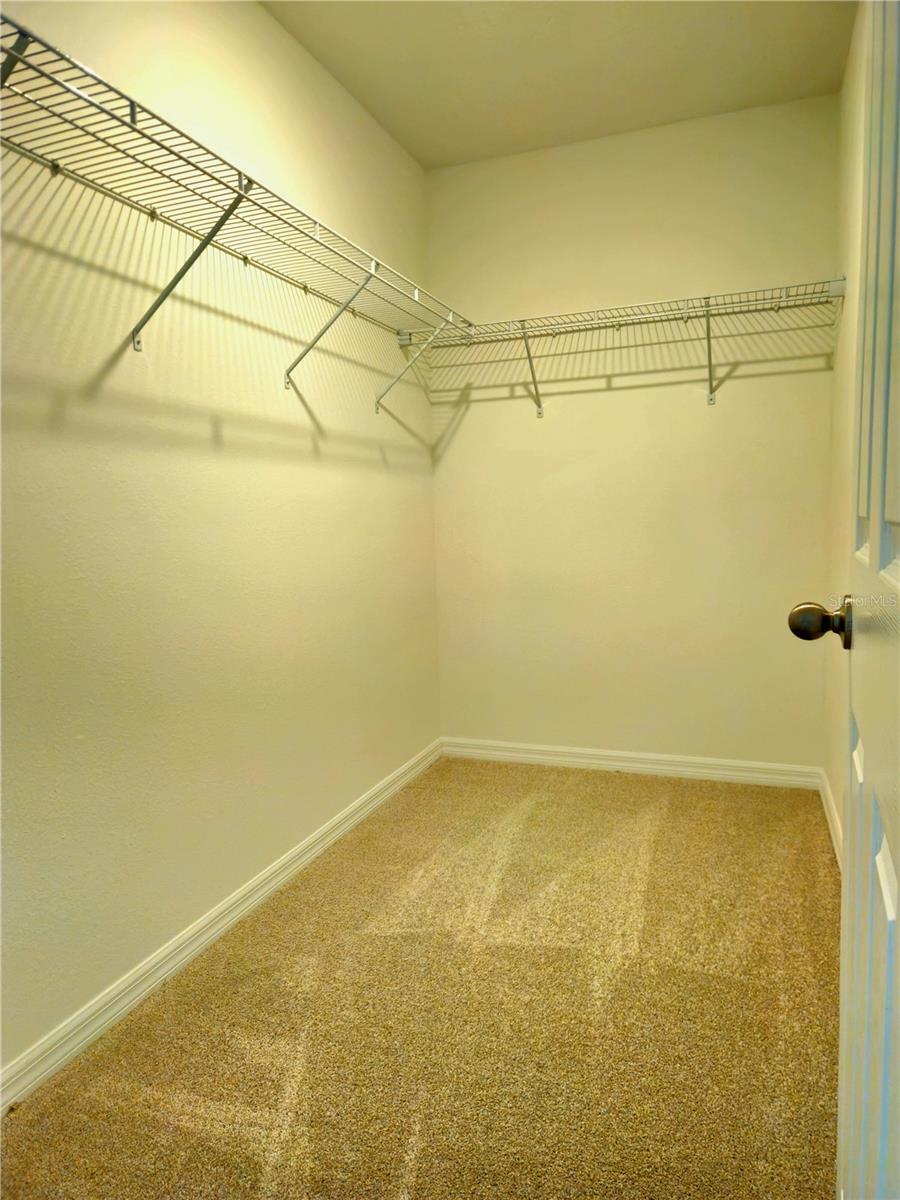 16305 BIRD OF PARADISE AVE, CLERMONT, FL, 34714