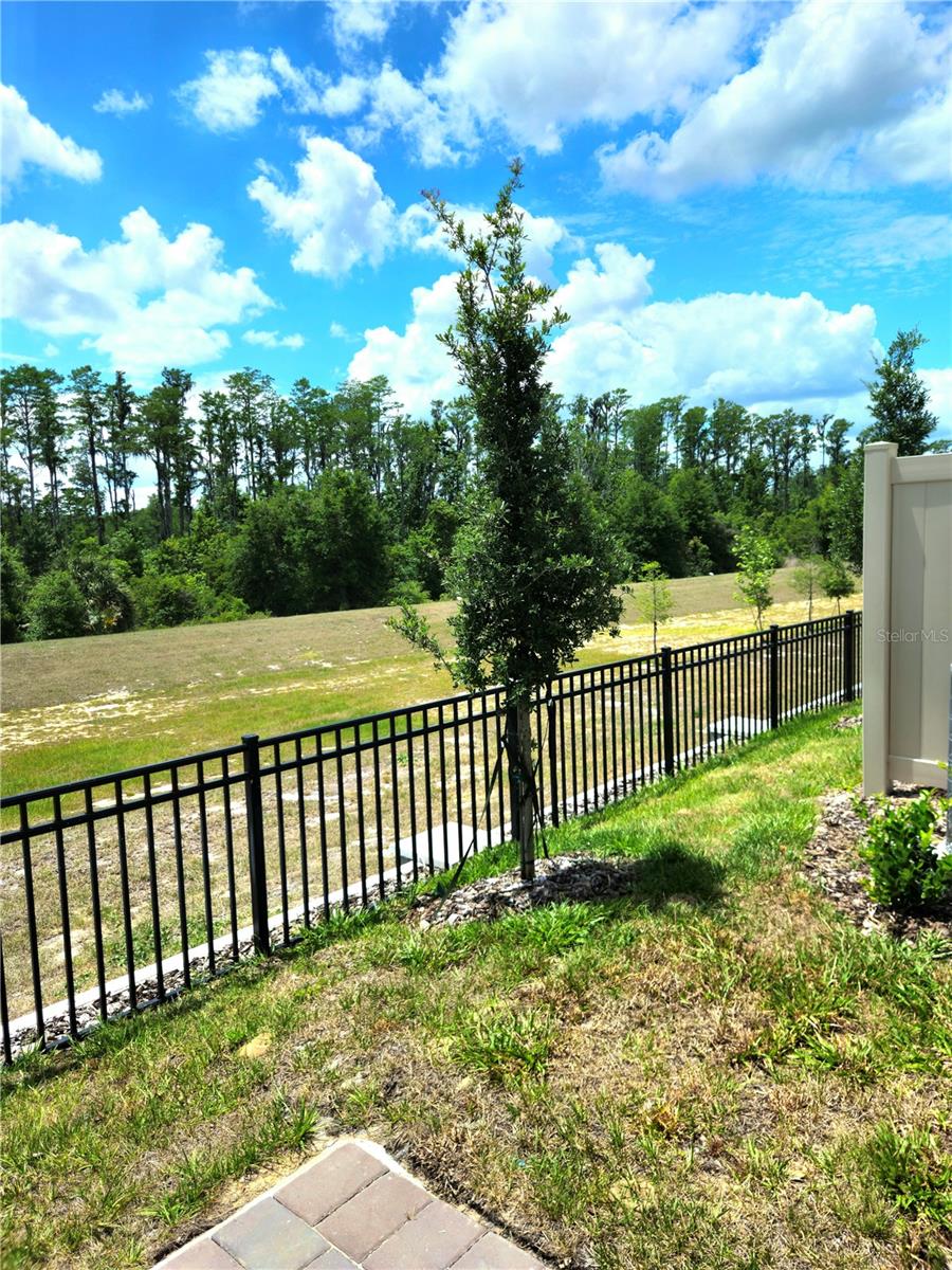 16305 BIRD OF PARADISE AVE, CLERMONT, FL, 34714