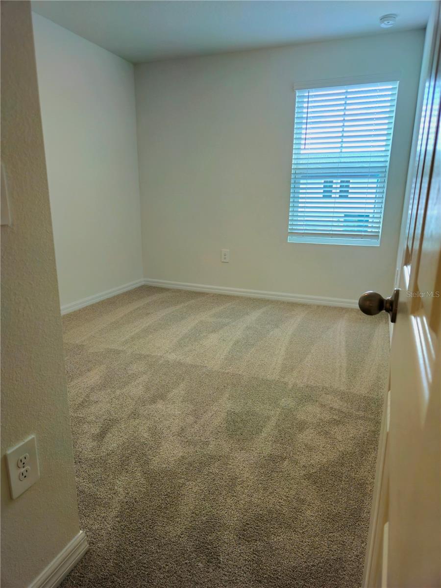 16305 BIRD OF PARADISE AVE, CLERMONT, FL, 34714