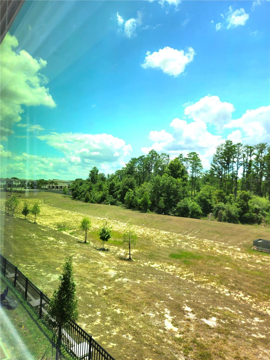 16305 BIRD OF PARADISE AVE, CLERMONT, FL, 34714