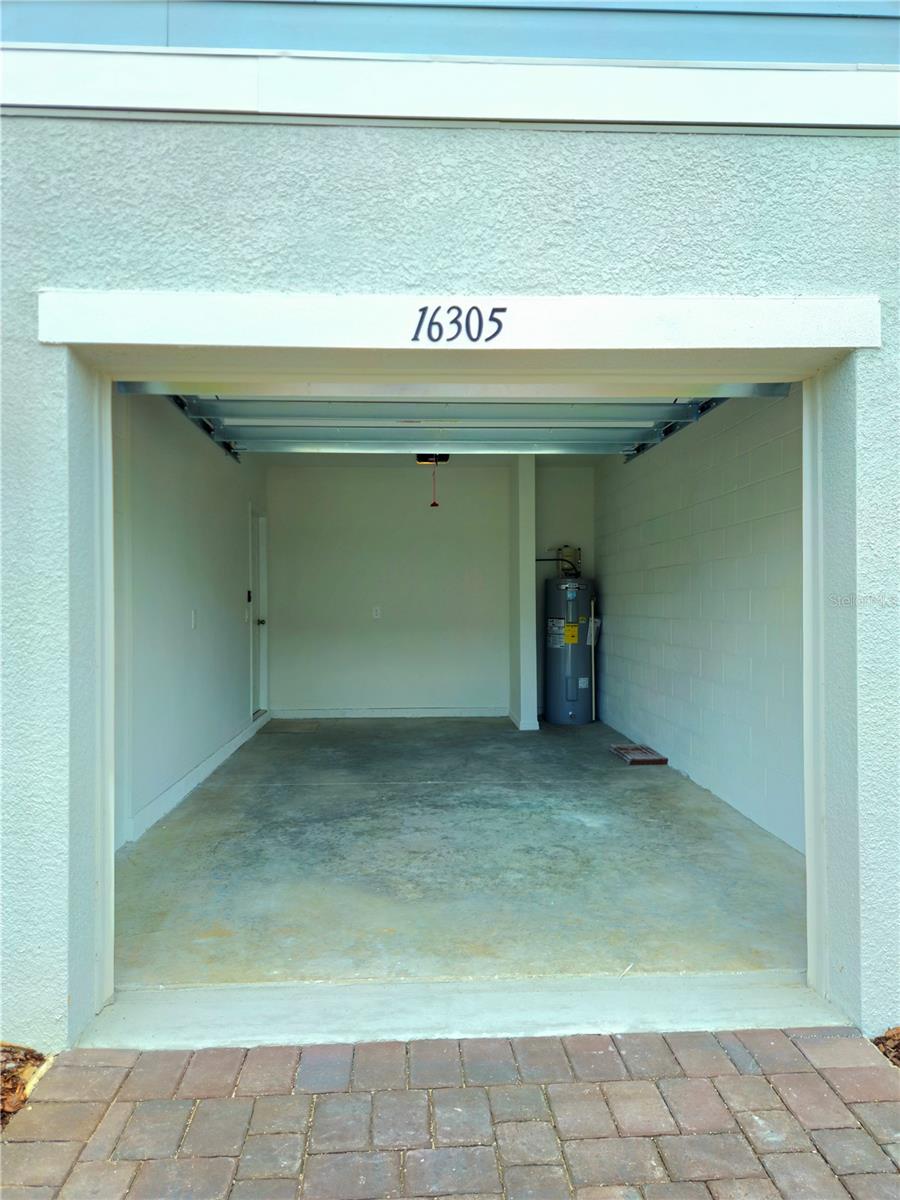 16305 BIRD OF PARADISE AVE, CLERMONT, FL, 34714