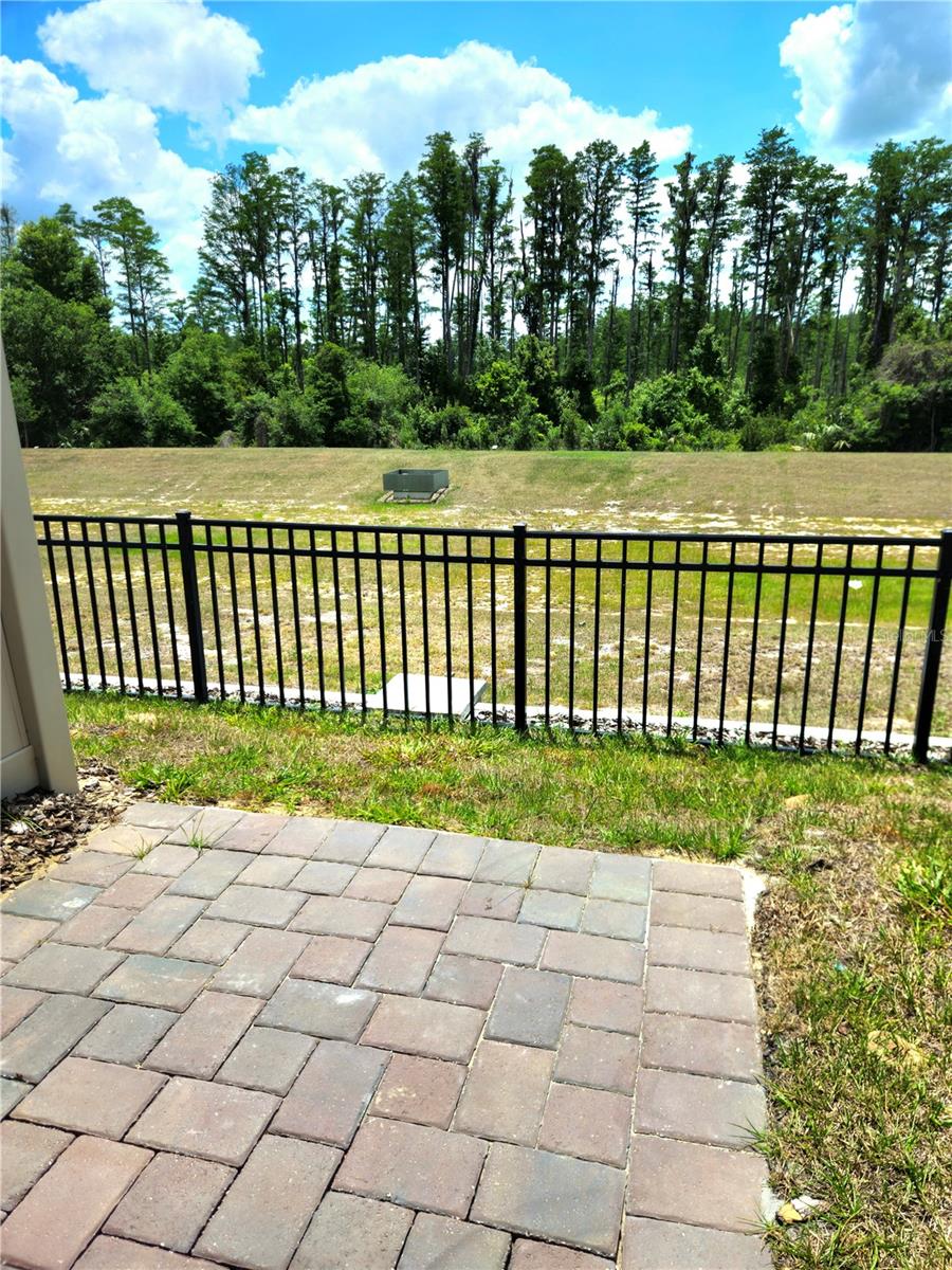 16305 BIRD OF PARADISE AVE, CLERMONT, FL, 34714