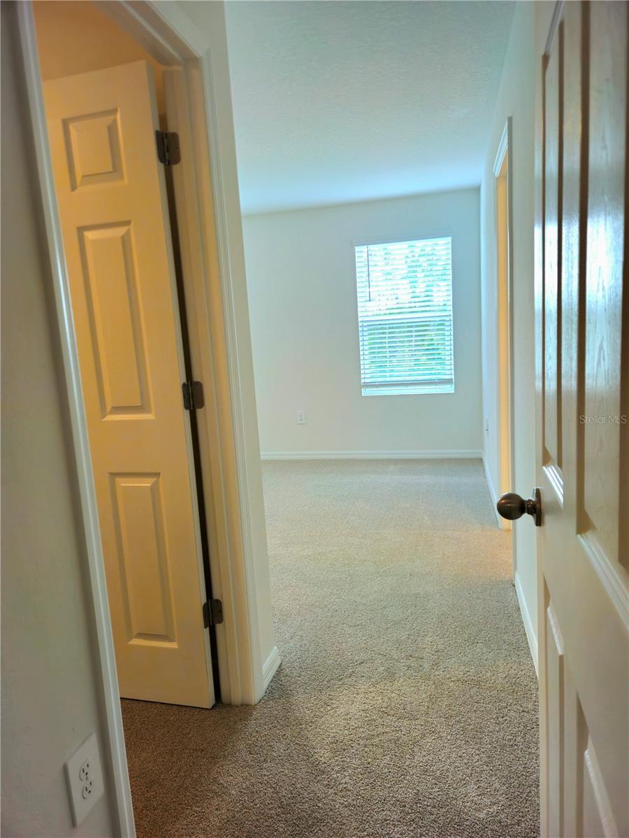 16305 BIRD OF PARADISE AVE, CLERMONT, FL, 34714