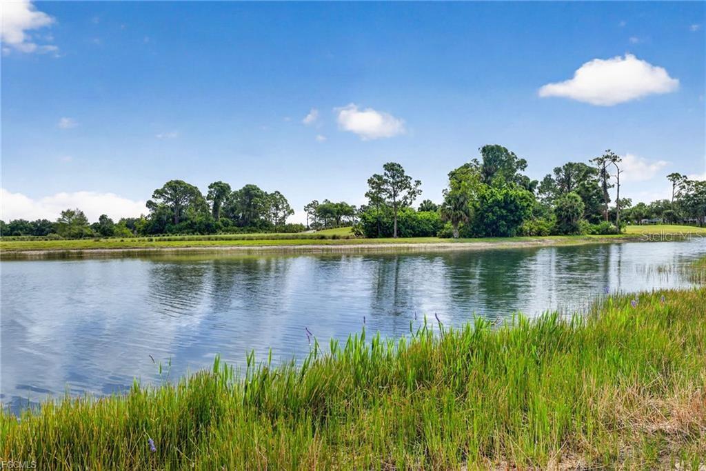 16521 GOLDENROD LN #102, ALVA, FL, 33920