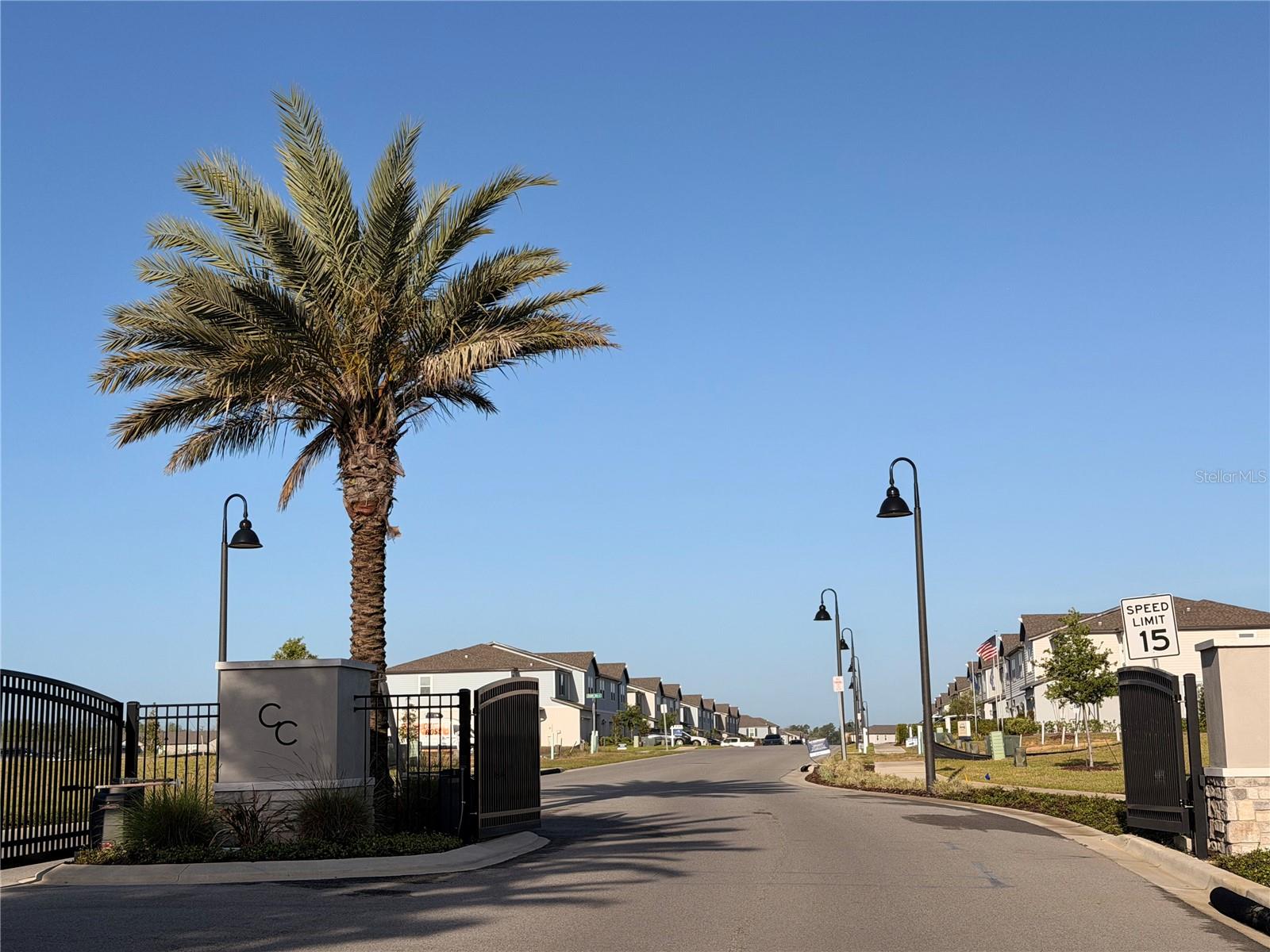 16338 BIRD OF PARADISE AVE, CLERMONT, FL, 34714