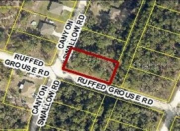 0 CANYON SWALLOW RD (PARCEL KEY 00784734), WEEKI WACHEE, FL, 34614