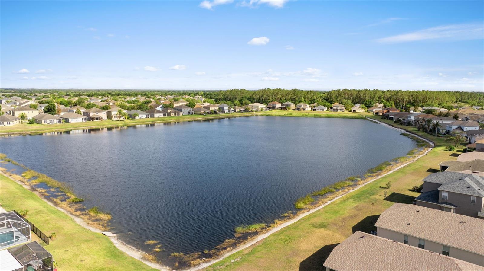 7619 CRESCENT PALM DR, WESLEY CHAPEL, FL, 33545