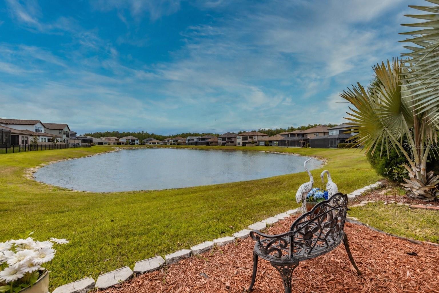 29527 PICANA LN, WESLEY CHAPEL, FL, 33543