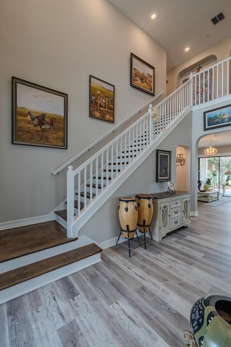 29527 PICANA LN, WESLEY CHAPEL, FL, 33543