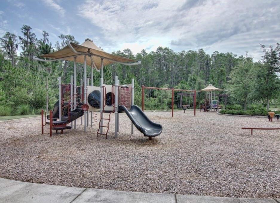 29527 PICANA LN, WESLEY CHAPEL, FL, 33543