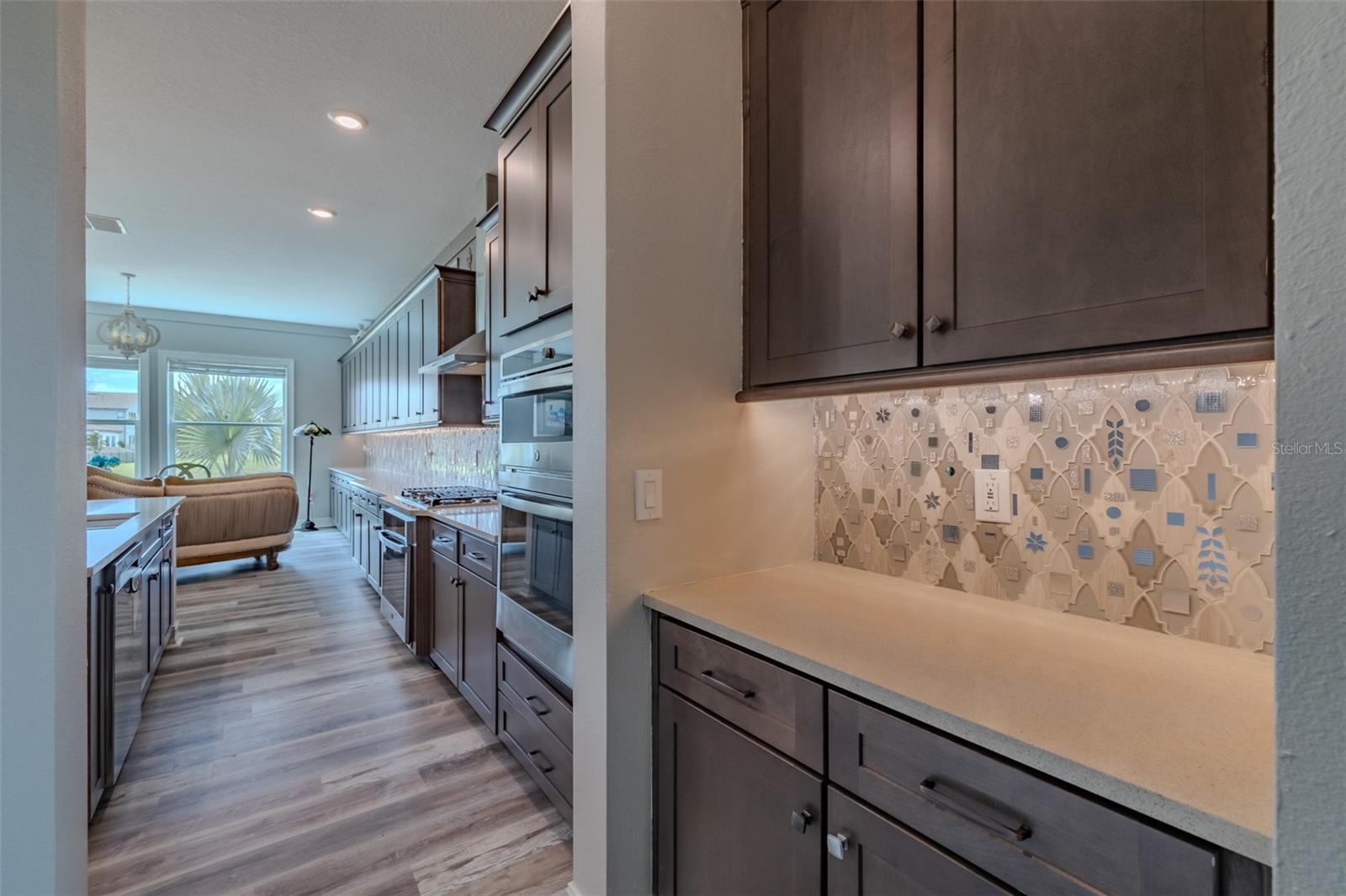 29527 PICANA LN, WESLEY CHAPEL, FL, 33543