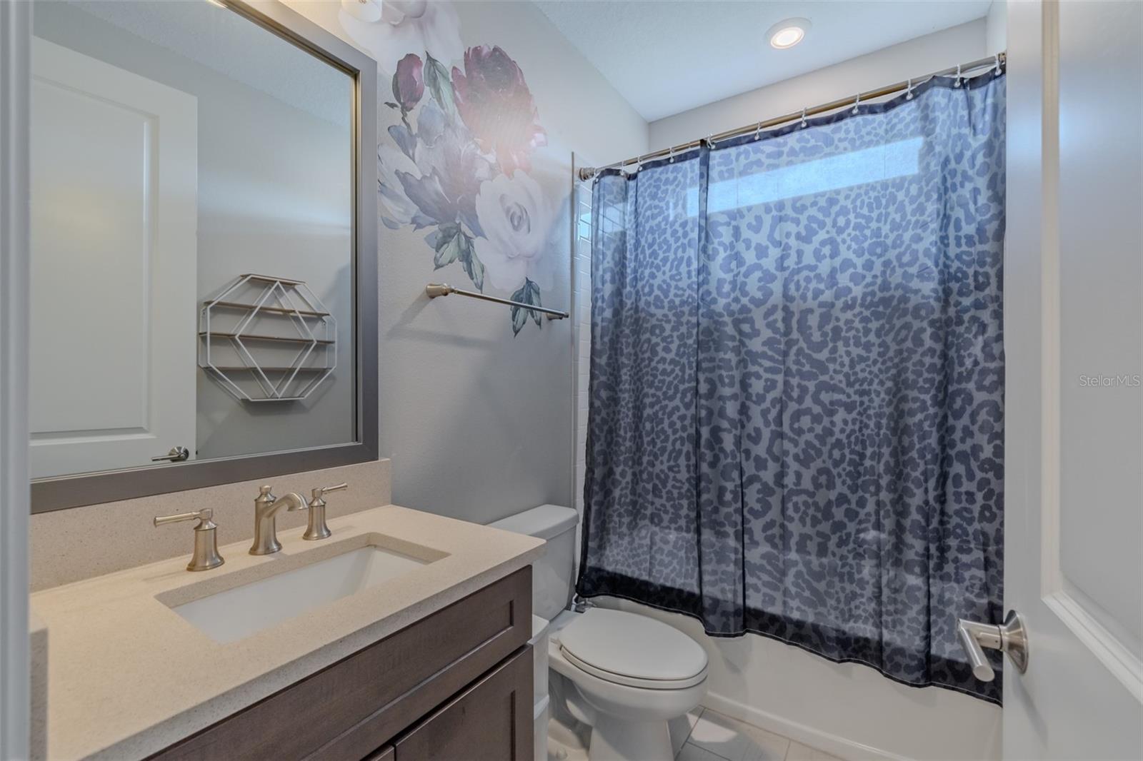 29527 PICANA LN, WESLEY CHAPEL, FL, 33543