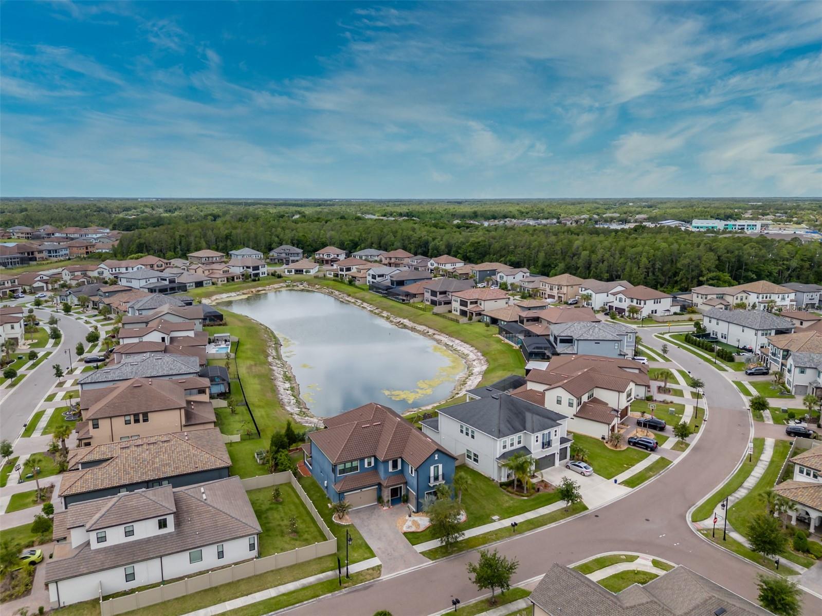 29527 PICANA LN, WESLEY CHAPEL, FL, 33543