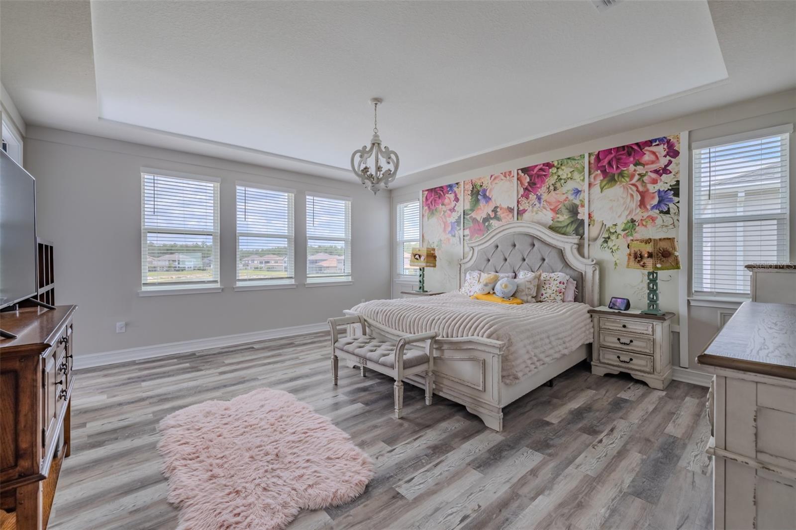 29527 PICANA LN, WESLEY CHAPEL, FL, 33543