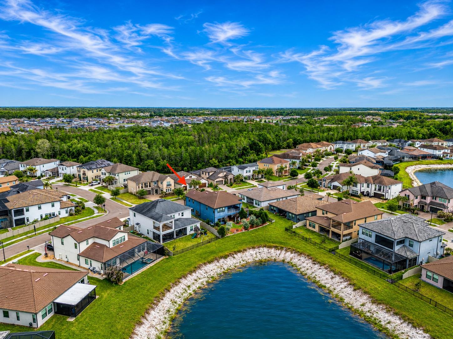 29527 PICANA LN, WESLEY CHAPEL, FL, 33543