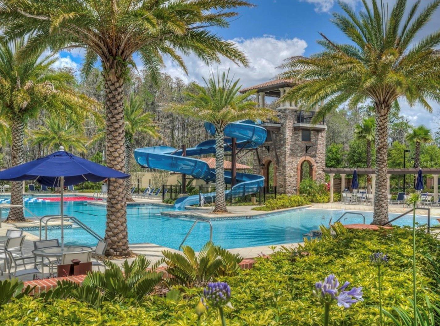 29527 PICANA LN, WESLEY CHAPEL, FL, 33543
