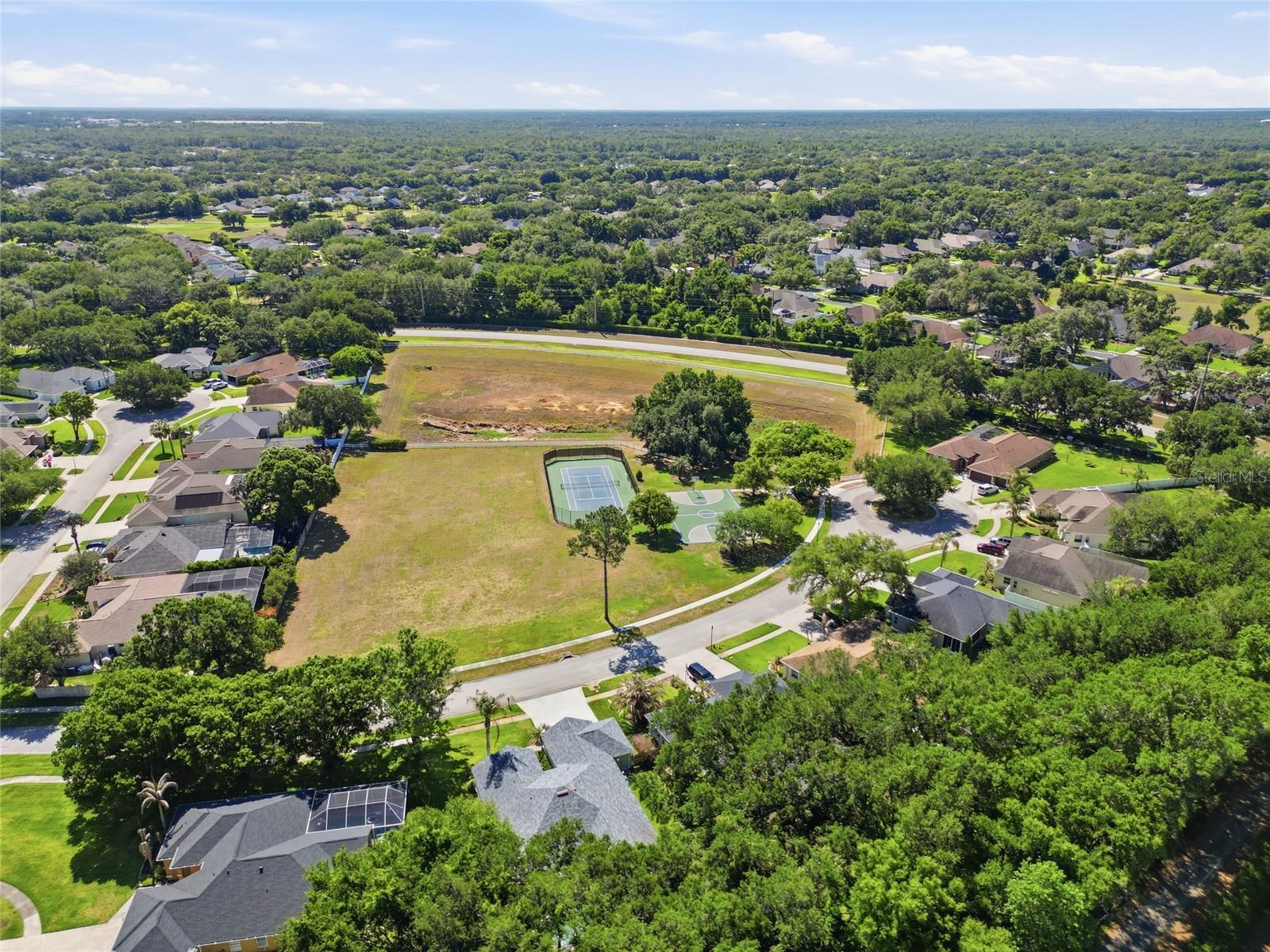 3205 PARTRIDGE POINT TRL, VALRICO, FL, 33596