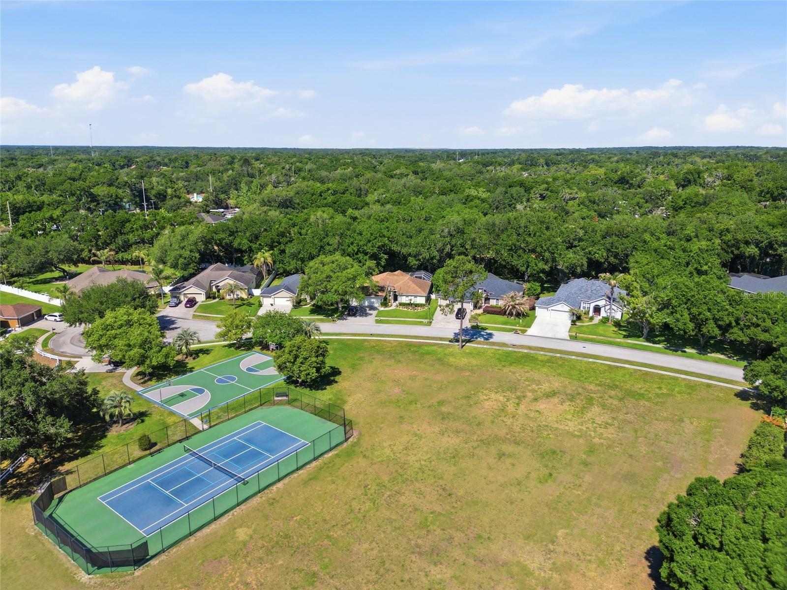 3205 PARTRIDGE POINT TRL, VALRICO, FL, 33596