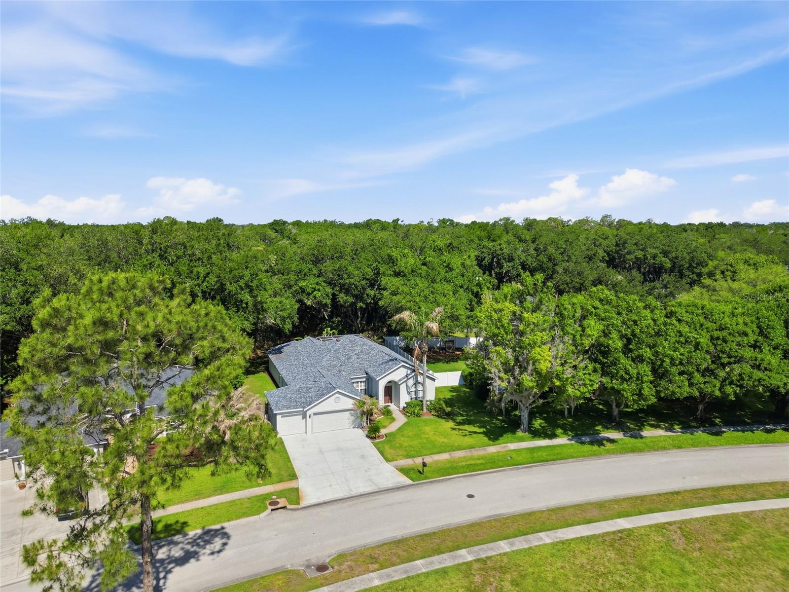 3205 PARTRIDGE POINT TRL, VALRICO, FL, 33596