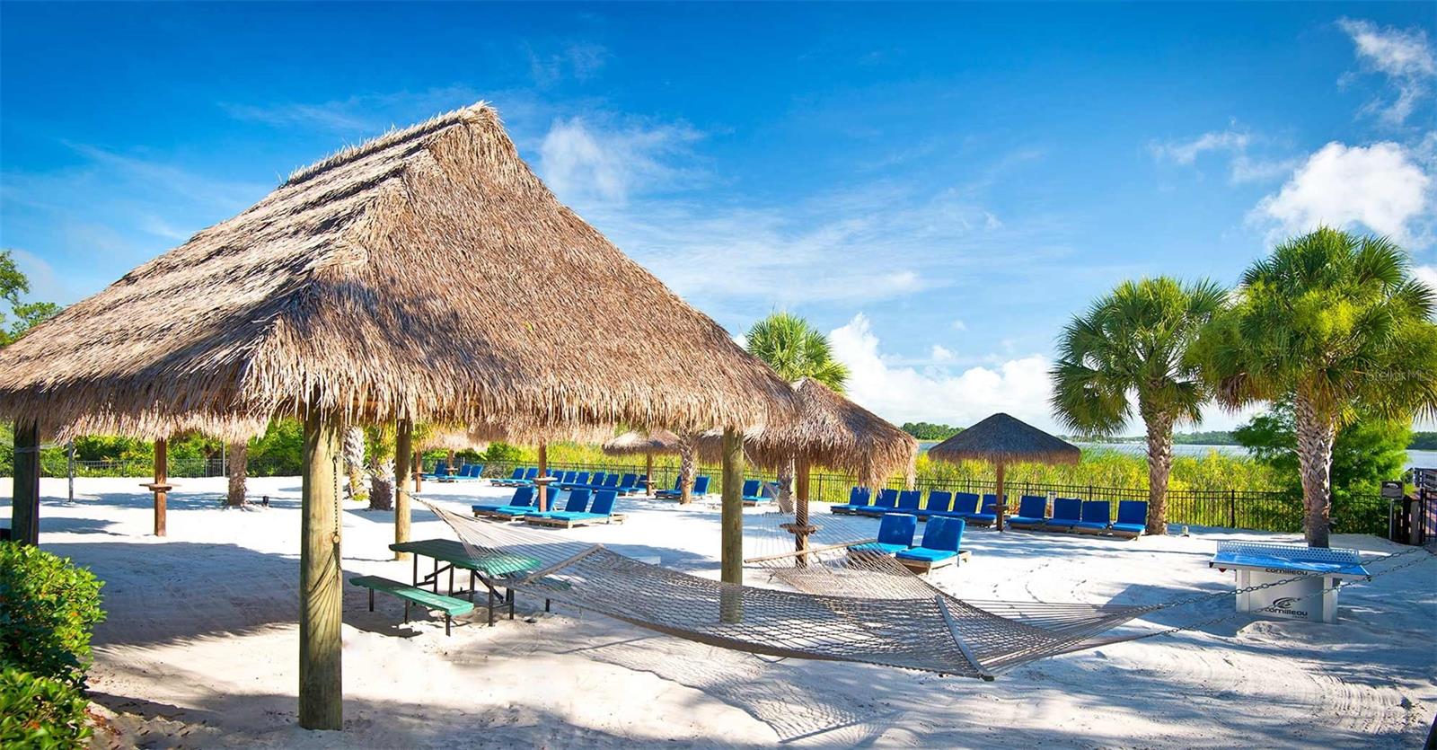 304 NEW PROVIDENCE #304, DAVENPORT, FL, 33897