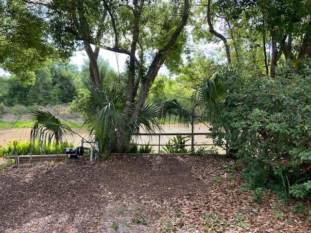 17499 HANNA RD, LUTZ, FL, 33549