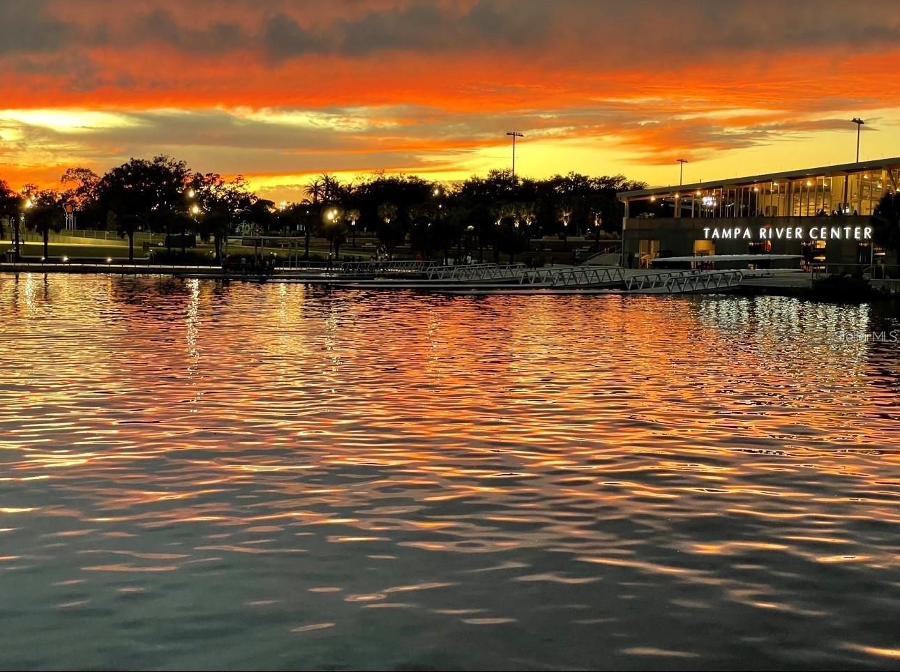 401 N OREGON AVE #2, TAMPA, FL, 33606