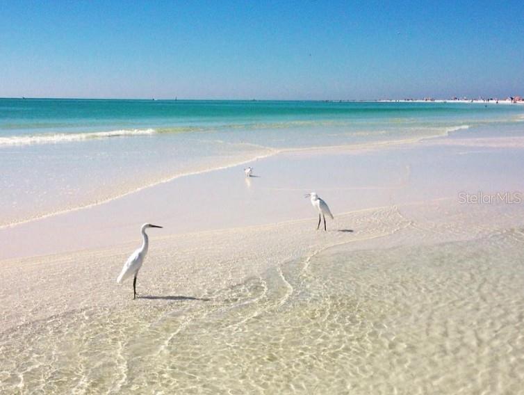 3350 S OSPREY AVE #209A, SARASOTA, FL, 34239