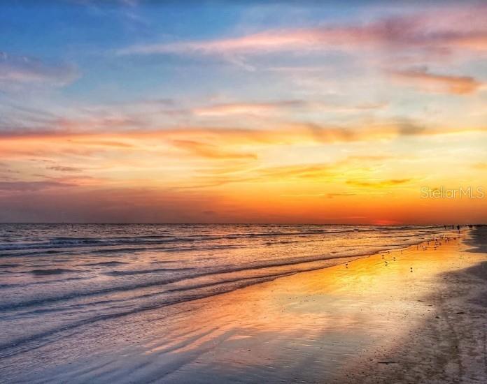 3350 S OSPREY AVE #209A, SARASOTA, FL, 34239